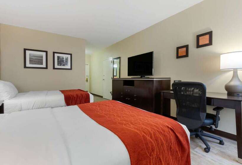 ホテル Comfort Inn North Of Asheville