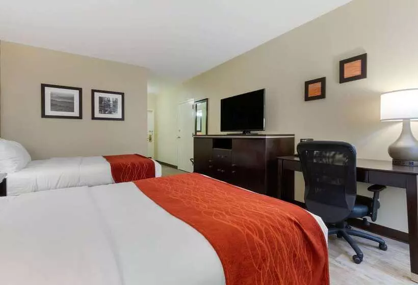 호텔 Comfort Inn North Of Asheville