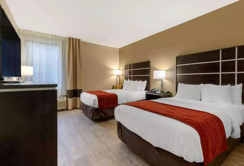 호텔 Comfort Inn North Of Asheville