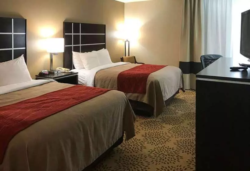 호텔 Comfort Inn North Of Asheville