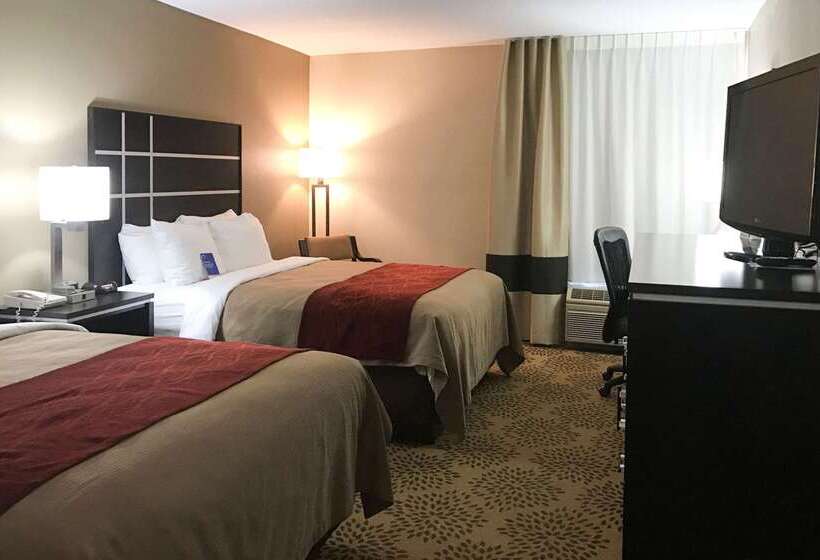 ホテル Comfort Inn North Of Asheville