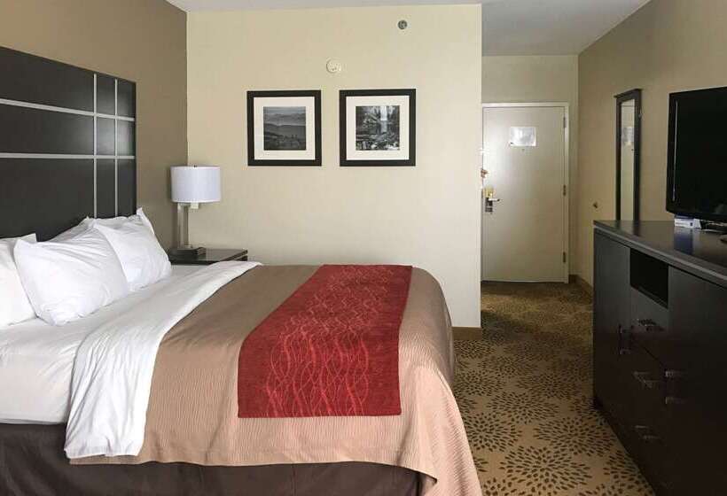 ホテル Comfort Inn North Of Asheville