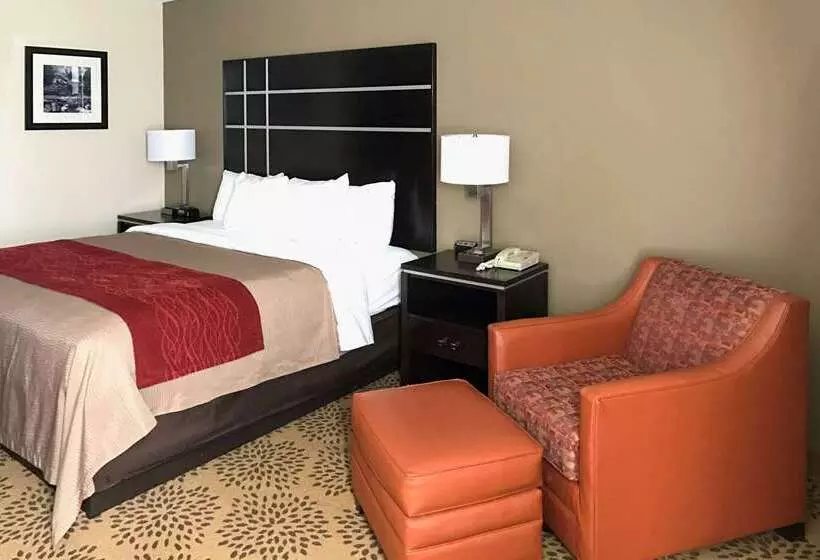 호텔 Comfort Inn North Of Asheville