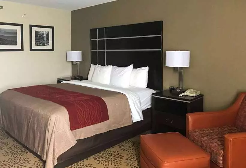 호텔 Comfort Inn North Of Asheville