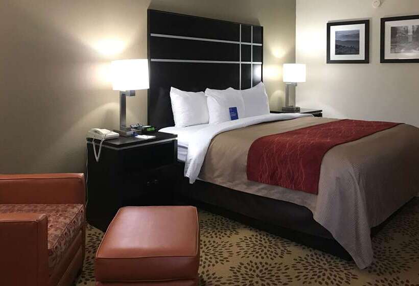 ホテル Comfort Inn North Of Asheville