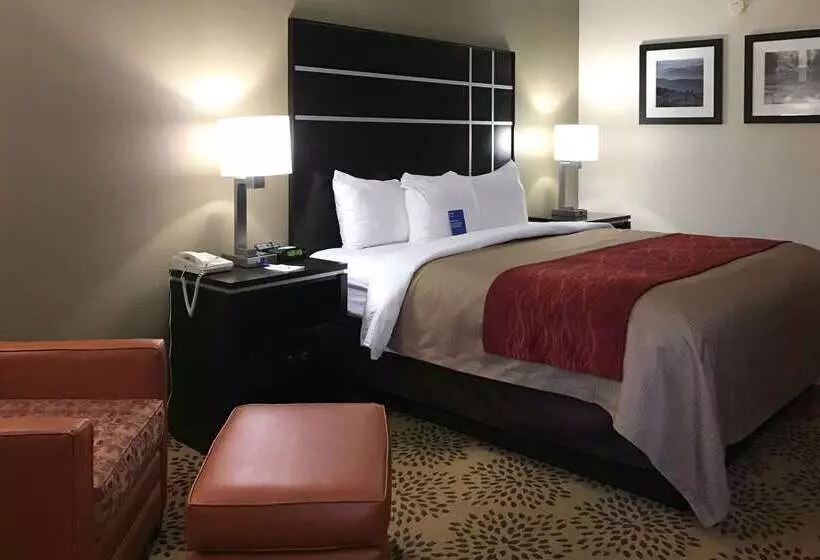 호텔 Comfort Inn North Of Asheville