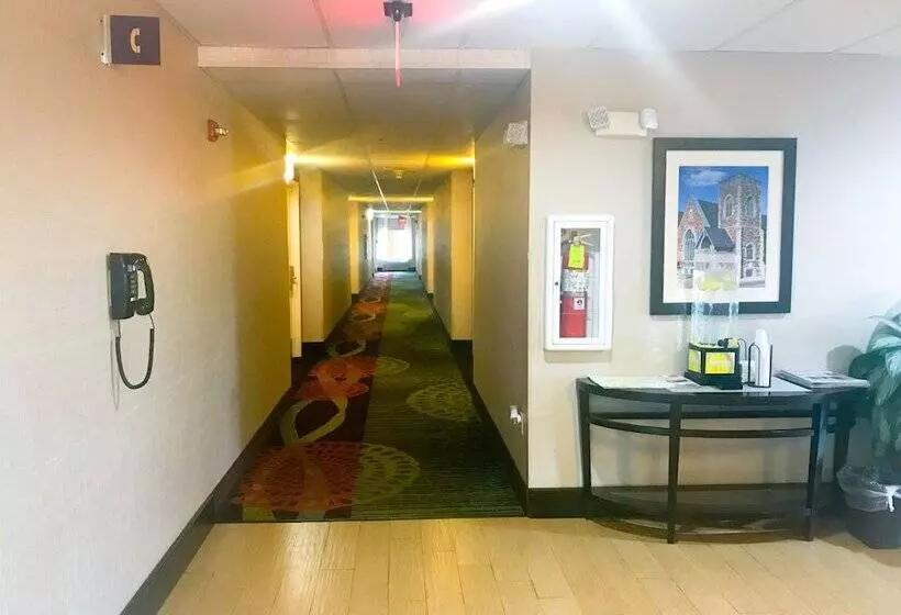 호텔 Comfort Inn North Of Asheville