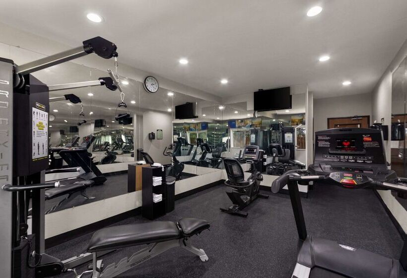 هتل Comfort Inn & Suites