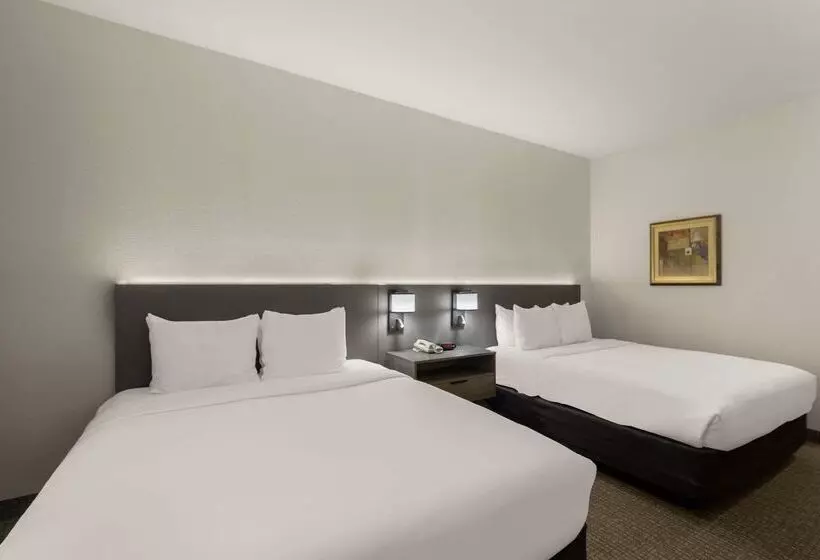 호텔 Comfort Inn & Suites