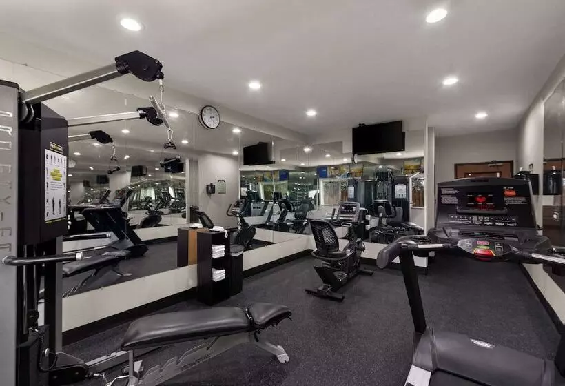 호텔 Comfort Inn & Suites