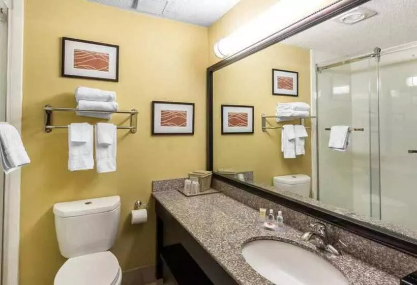 호텔 Comfort Inn & Suites