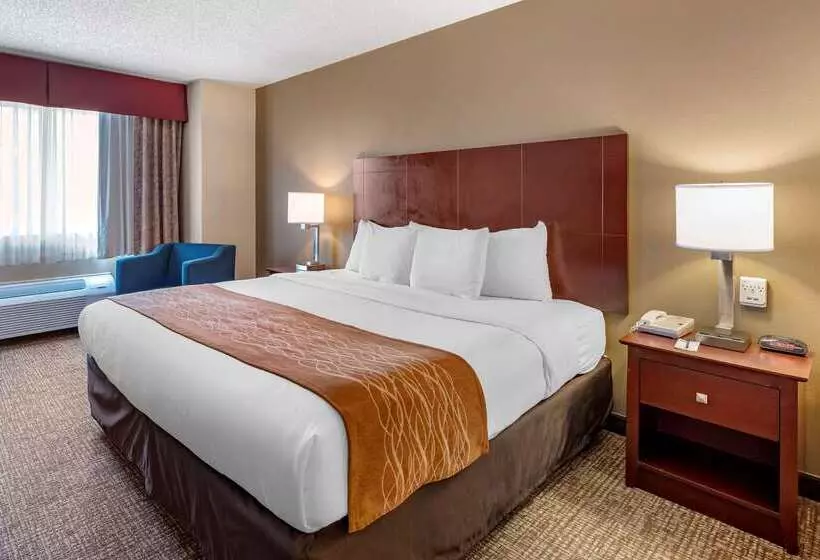 酒店 Comfort Inn & Suites Kelso  Longview