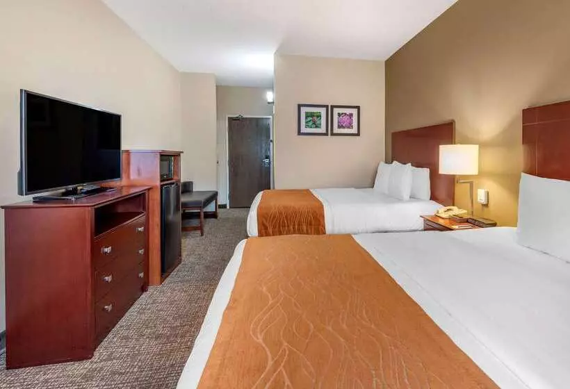酒店 Comfort Inn & Suites Kelso  Longview