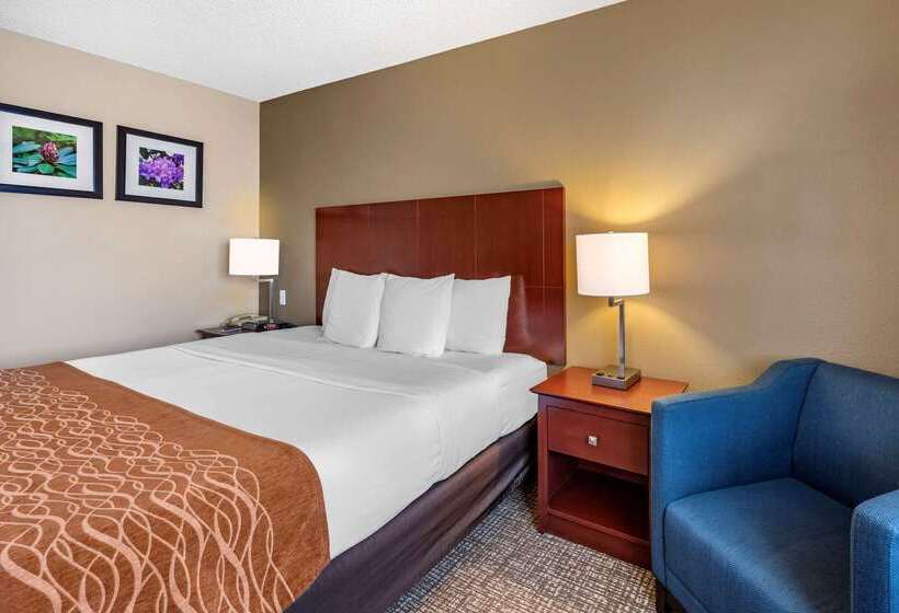 ホテル Comfort Inn & Suites Kelso  Longview