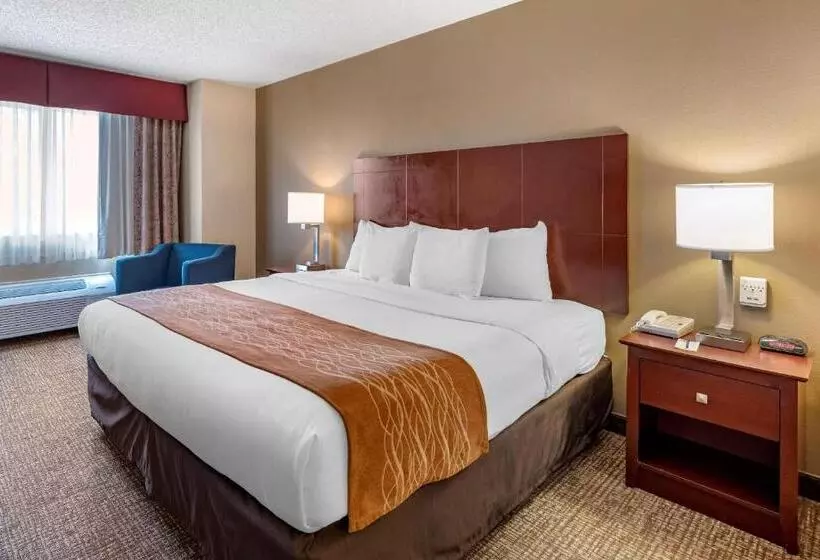 酒店 Comfort Inn & Suites Kelso  Longview