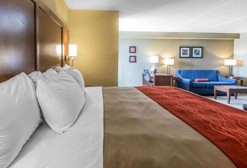 فندق Comfort Inn & Suites Knoxville West