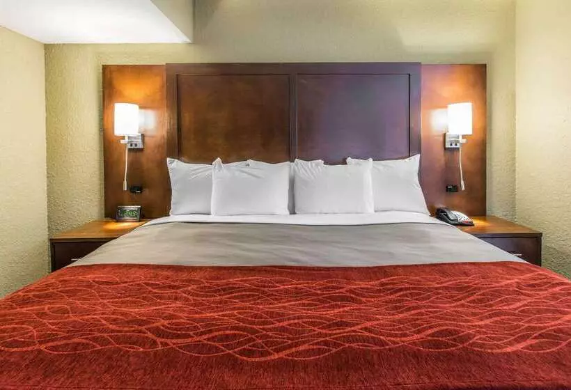 בית מלון כפרי Comfort Inn & Suites Knoxville West