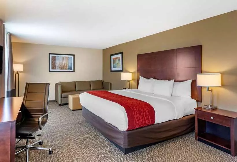 酒店 Comfort Inn & Suites Tooelesalt Lake City