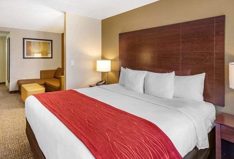 فندق Comfort Inn & Suites Tooelesalt Lake City