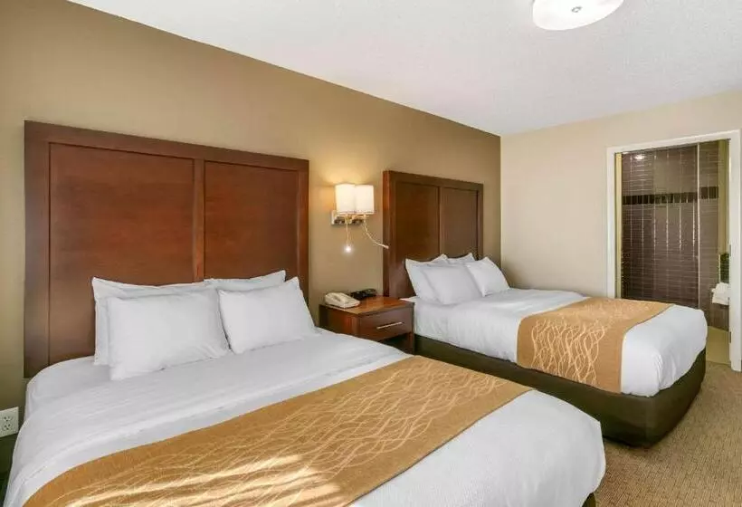 هتل Comfort Inn Worland Hwy 16 To Yellowstone