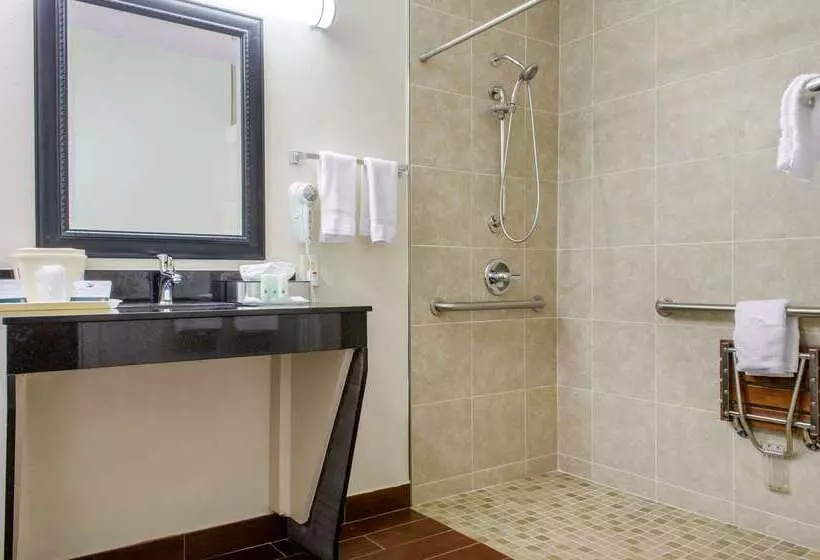 Отель Quality Inn