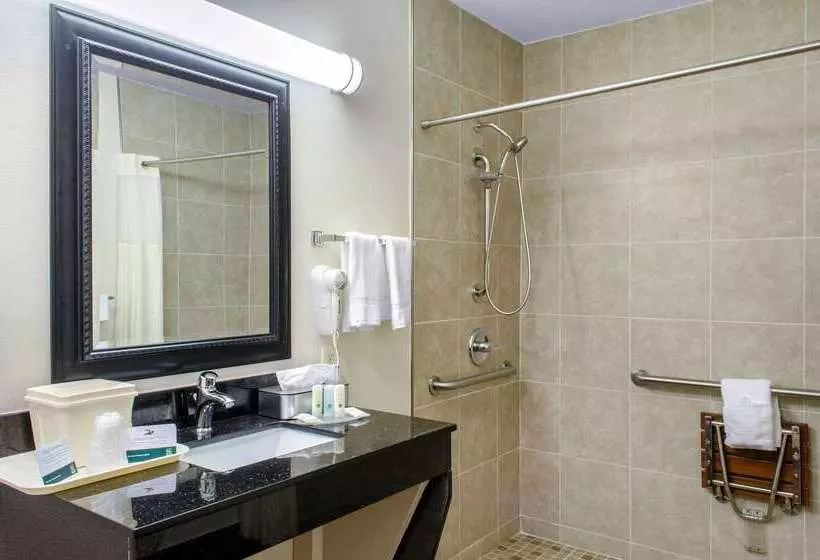 Отель Quality Inn