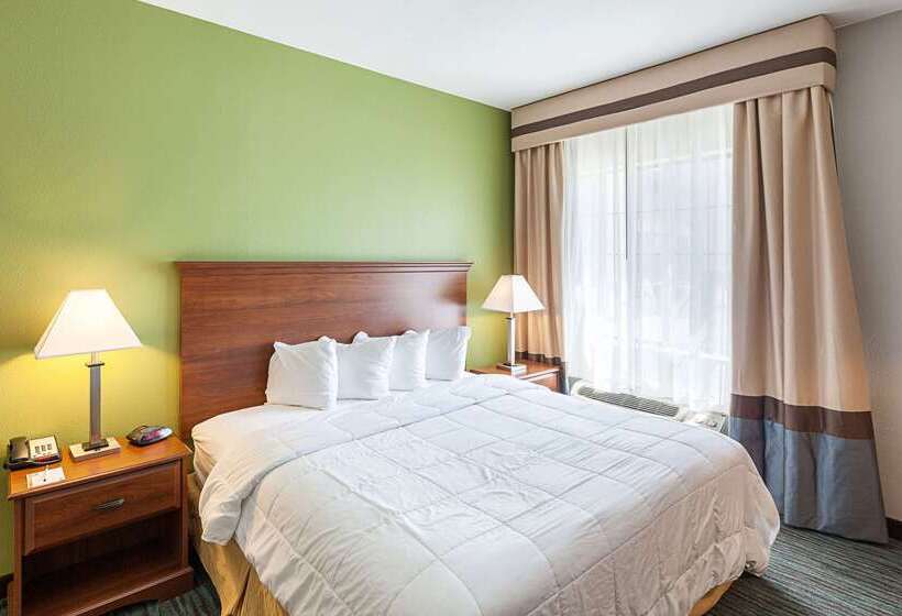 ホテル Quality Inn Mesquite Dallas East