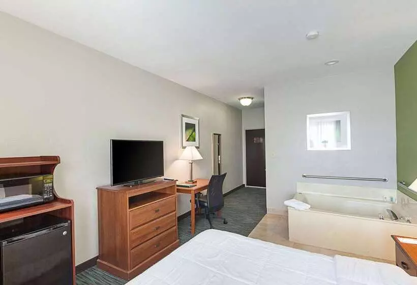 酒店 Quality Inn Mesquite Dallas East