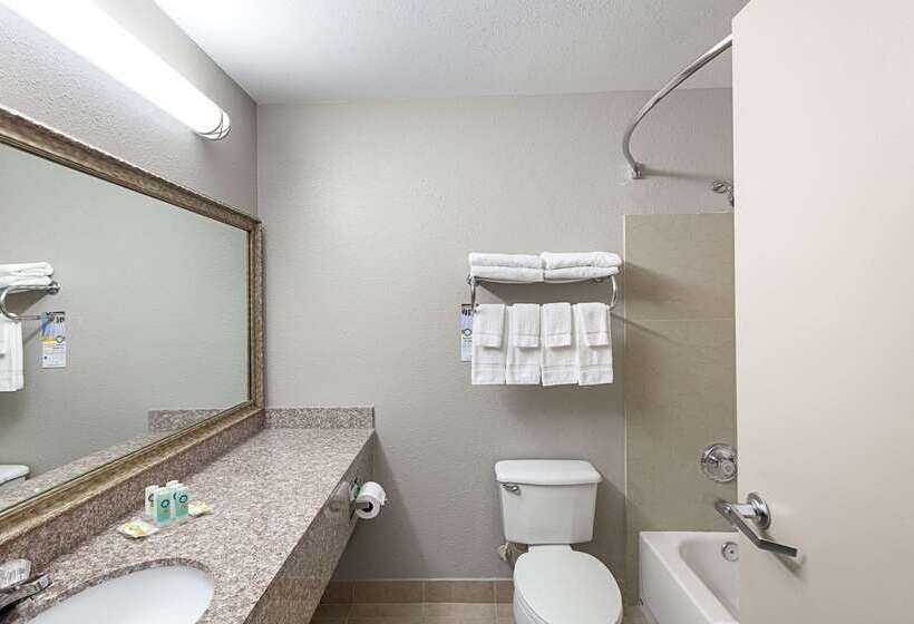 ホテル Quality Inn Mesquite Dallas East