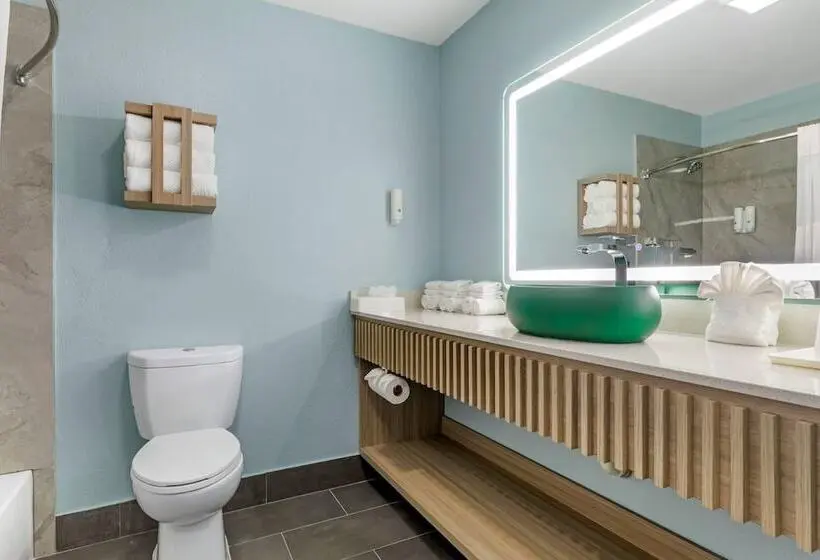 ホテル Quality Inn Mesquite  Dallas East