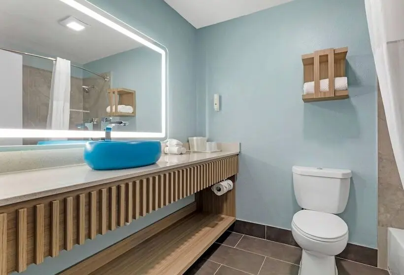 ホテル Quality Inn Mesquite  Dallas East