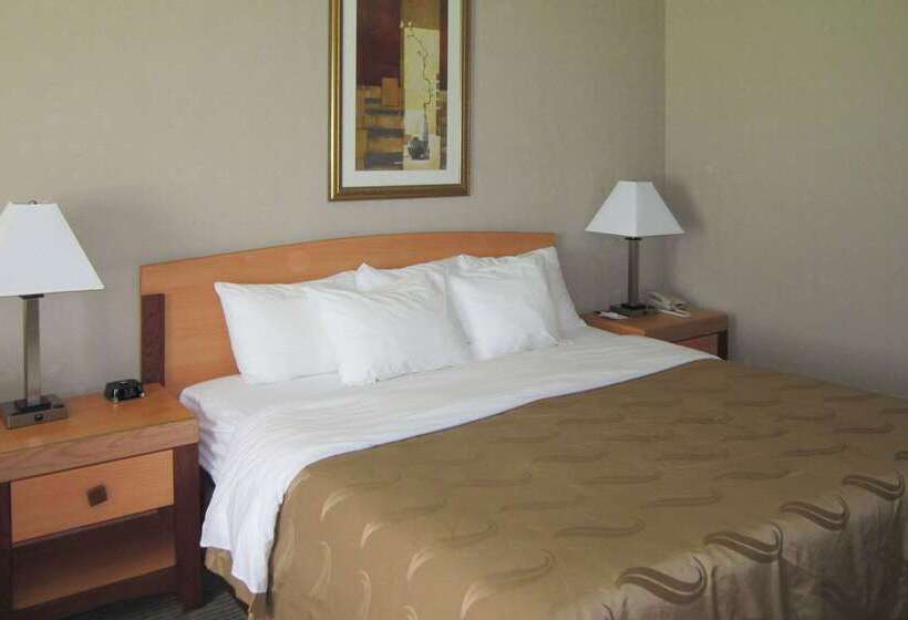 فندق Quality Inn Nashville  Bloomington