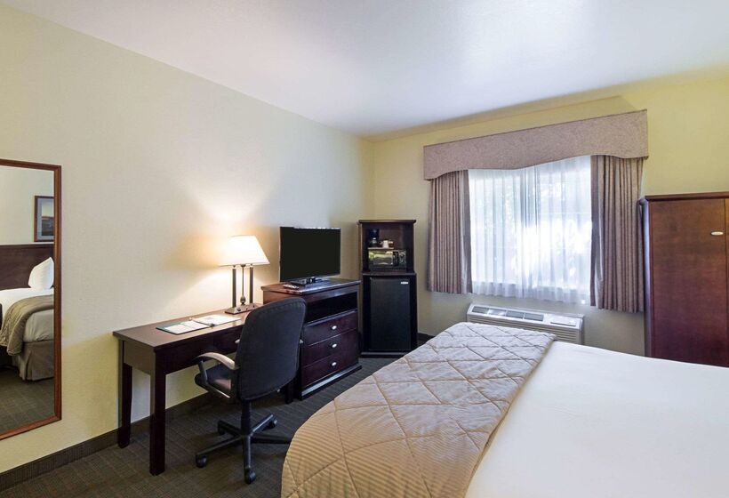 Отель Quality Inn & Suites