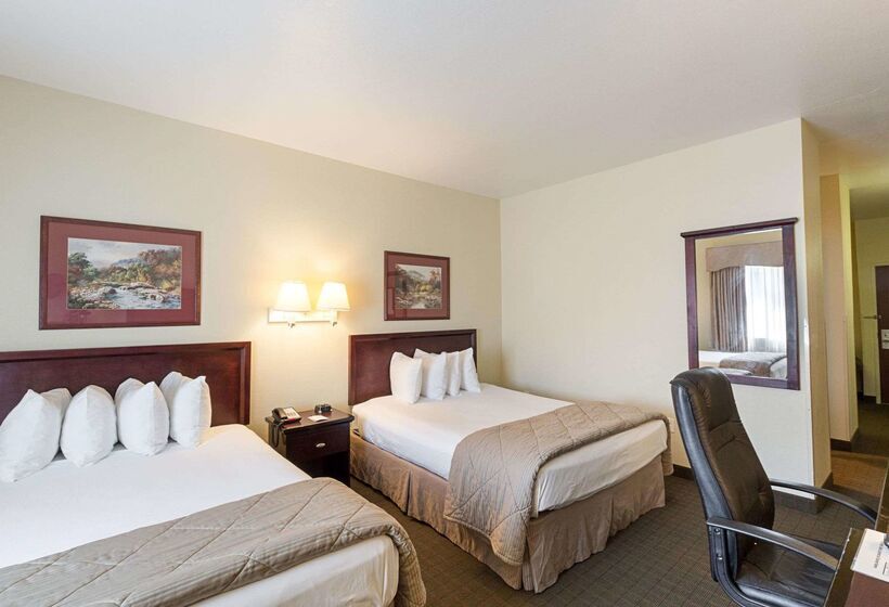 Отель Quality Inn & Suites