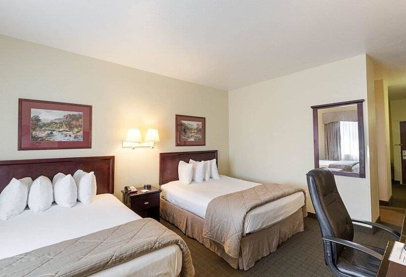 Отель Quality Inn & Suites