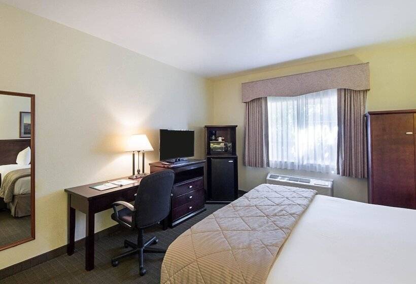 Отель Quality Inn & Suites