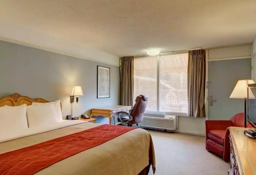 酒店 Western Inn And Suites