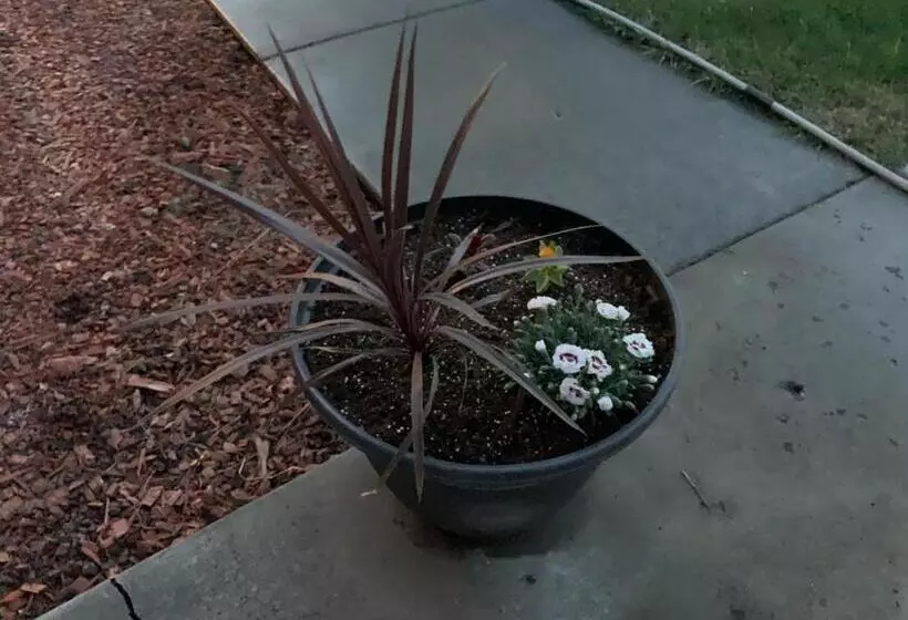 The Wing At Kingston East