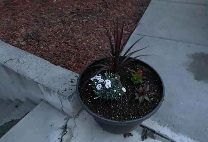 The Wing At Kingston East