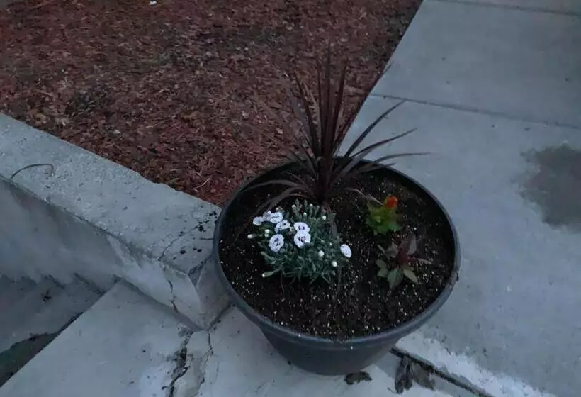 The Wing At Kingston East