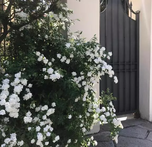 Aamiaismajoitus (B&B) Villa La Maggiorana