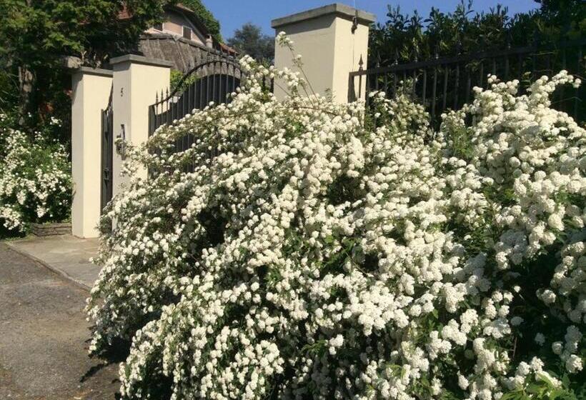 مبيت وإفطار Villa La Maggiorana