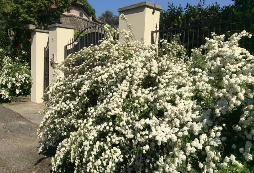 Aamiaismajoitus (B&B) Villa La Maggiorana