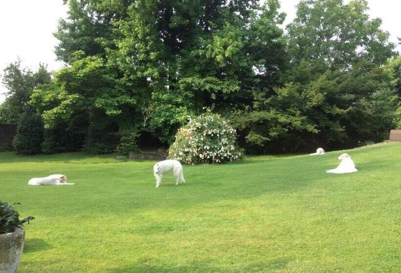 住宿加早餐 Villa La Maggiorana