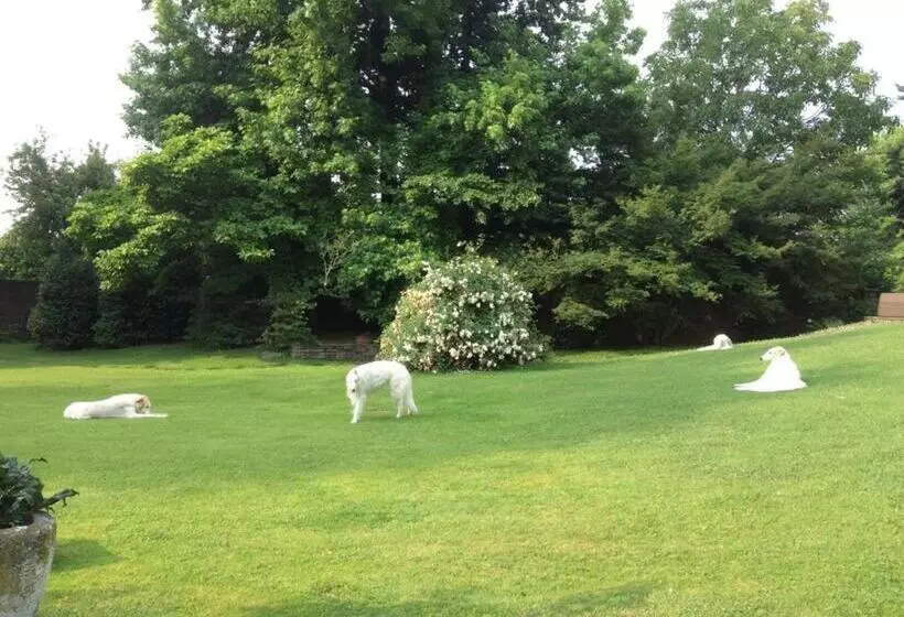 Aamiaismajoitus (B&B) Villa La Maggiorana