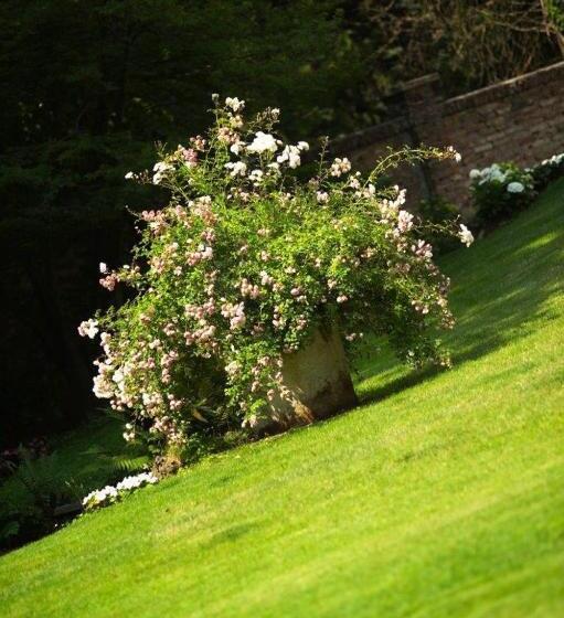 مبيت وإفطار Villa La Maggiorana