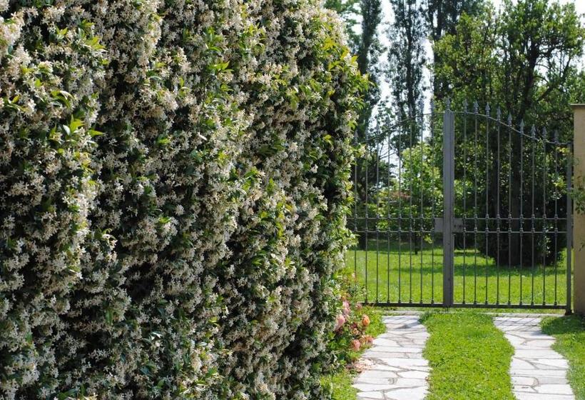 住宿加早餐 Villa La Maggiorana