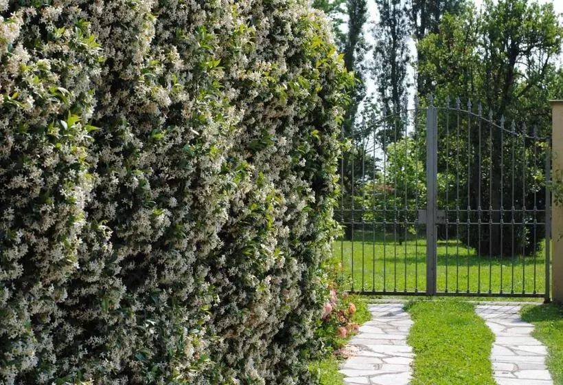 Aamiaismajoitus (B&B) Villa La Maggiorana