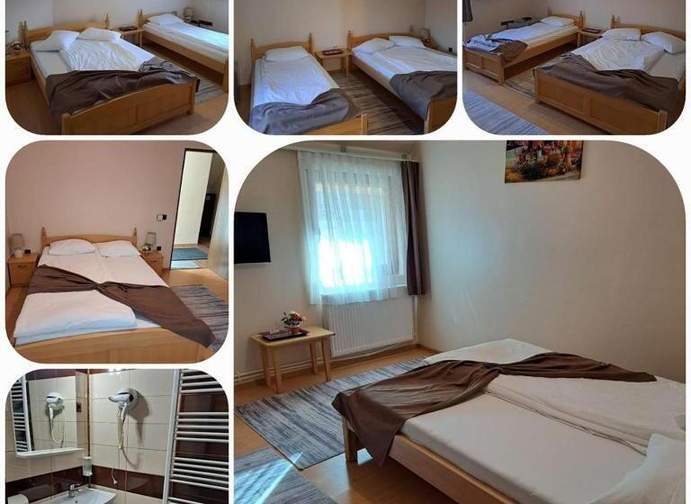 پانسیون Transilvania Garden House