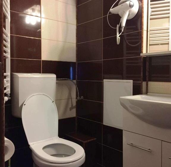 پانسیون Transilvania Garden House